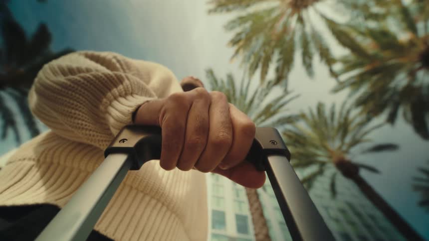 Hand holds the handle of a suitcase with palm trees and a tall building in the background
