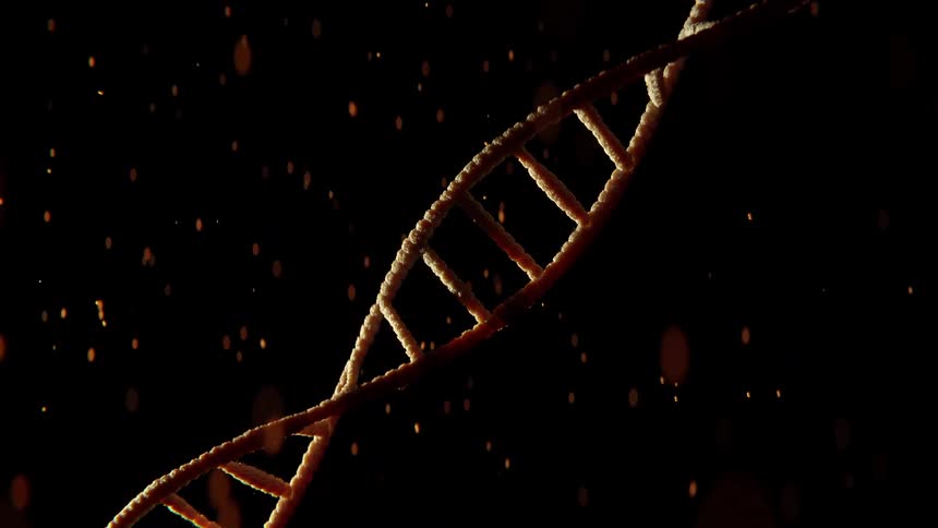 Spots float through the darkness around an animated dna helix