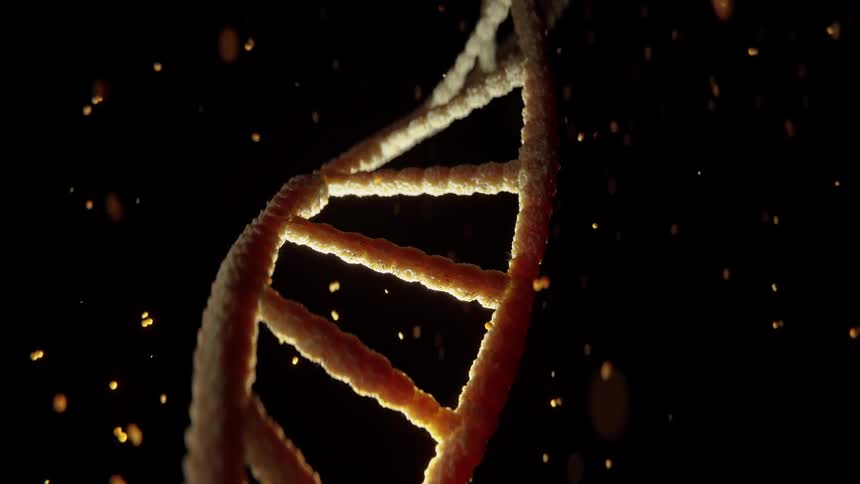 A double helix dna strand rotates slowly against a black background while glowing golden particles float through the dark space around the organic molecular structure