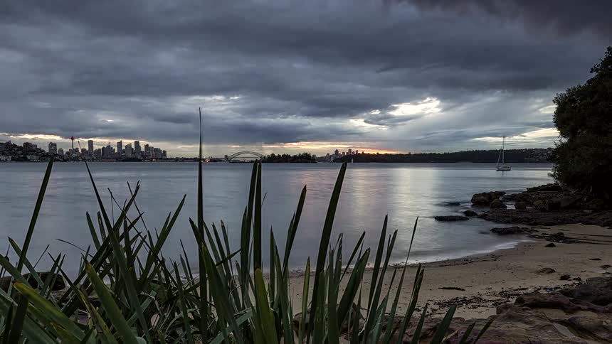 Beach with foreground vegetation calm water and city skyline under a cloudy sky at dusk