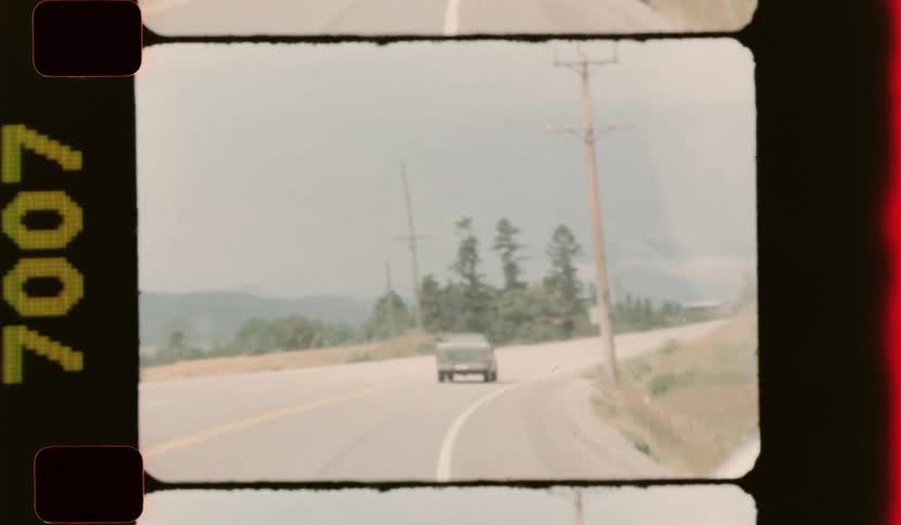 A green pickup truck drives along a rural highway on a summer day