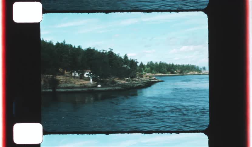 A coastal shoreline with dense evergreen trees and a small white beacon is seen from a moving vessel on the water