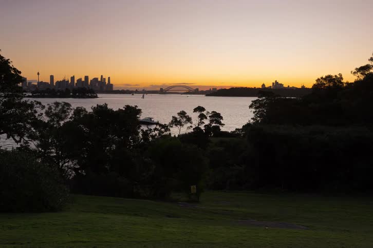 Sunrise over a coastal city skyline with harbor water and silhouetted trees in the foreground