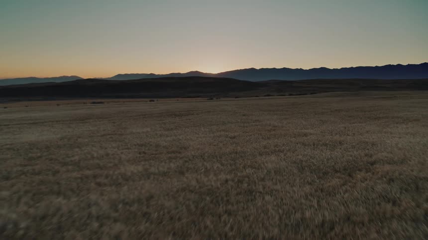 Wide field of dry vegetation stretches toward mountain range under evening sky
