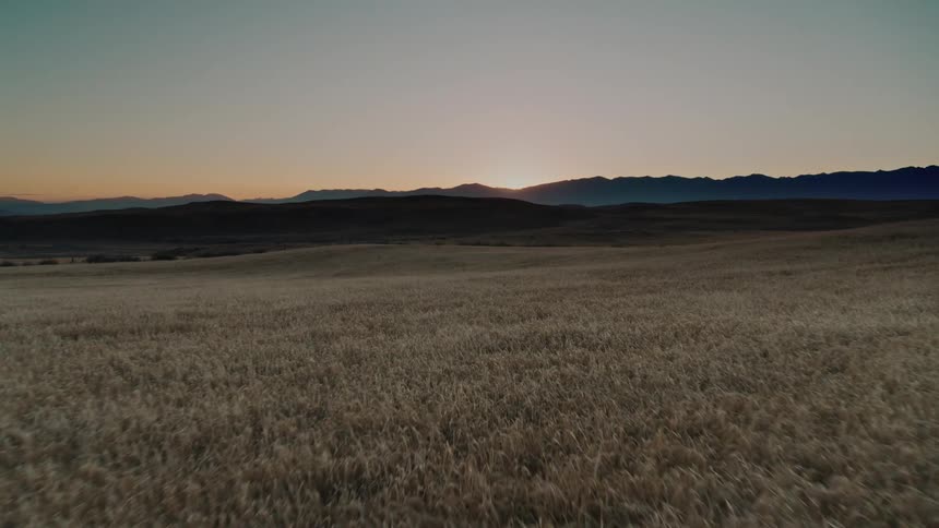 An aerial view of a grassland