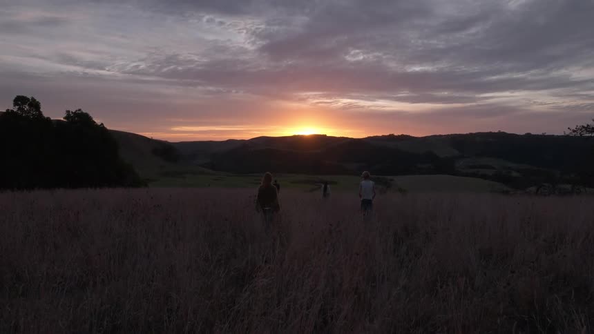 A view from behind shows several people walking through a field of tall dry grass toward a bright orange sun as it sets behind rolling hills under a purple and grey sky