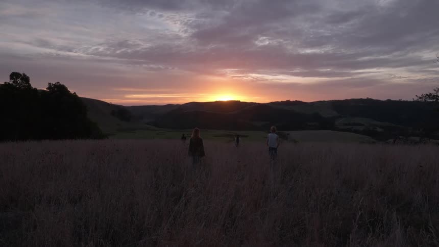 A view of people walking in a field of grasses