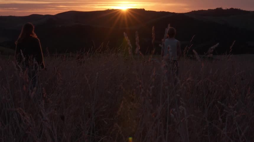Plants and vegetation in a field as people stand watching the sun shine over mountains in the distance