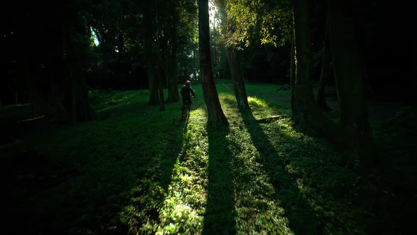 A person riding a bicycle in a forest