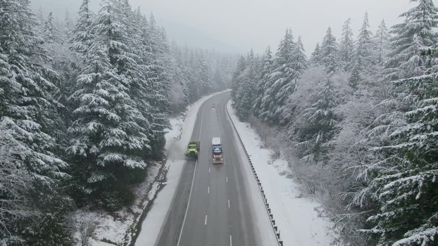 A DOT snow plow and several vehicles travel on a freeway through a snow covered forest under a gray winter sky