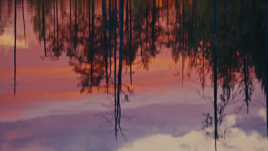 The trees reflect on the lake water