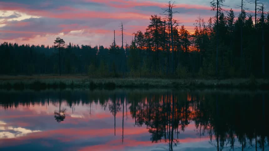 Trees reflected in a lake under a sky with pink clouds at sunset
