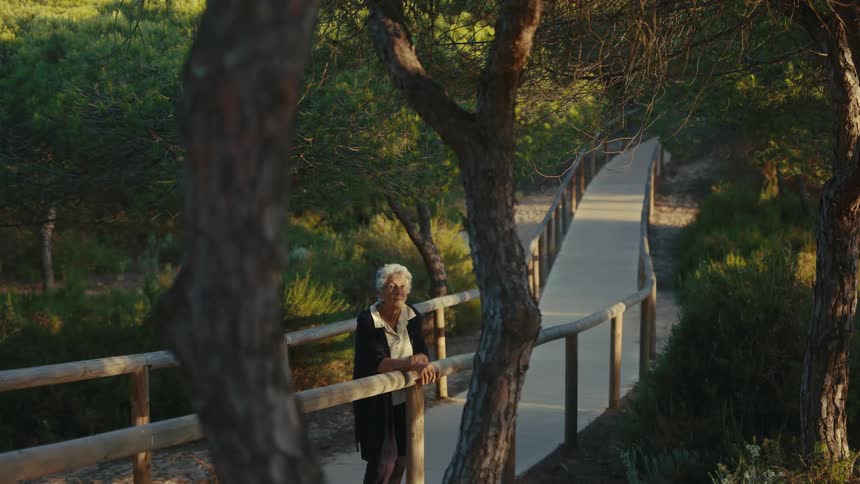A peaceful moment of an elderly person standing beside the handrail of a wooden boardwalk through a coastal pine forest at midday