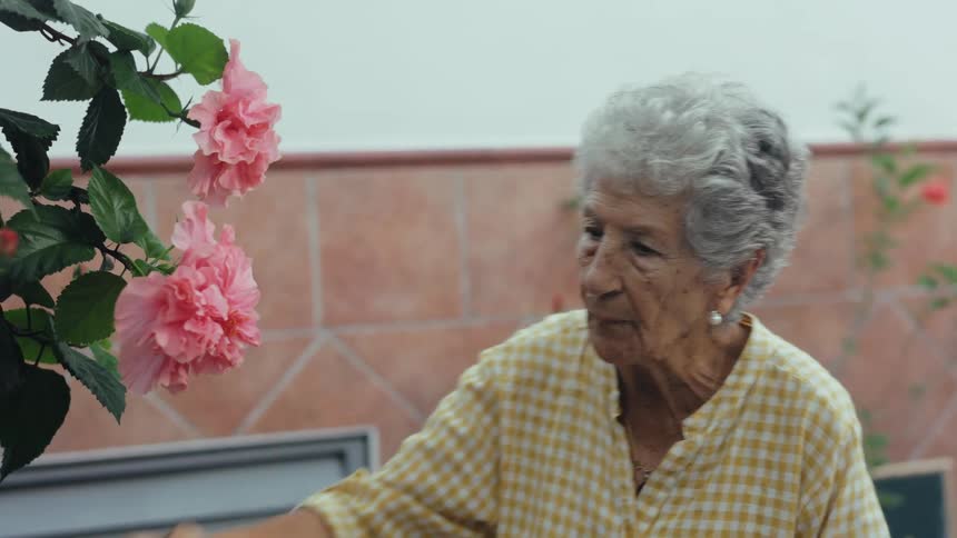 Elderly woman inspecting flowers in her yard