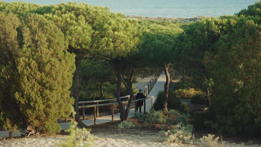 Person walking along a wooden boardwalk among trees in a dune area near the sea