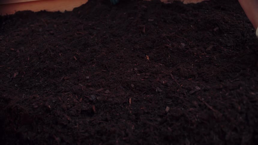 A closeup of a gloved hand tending rich dark soil in a wooden raised garden bed