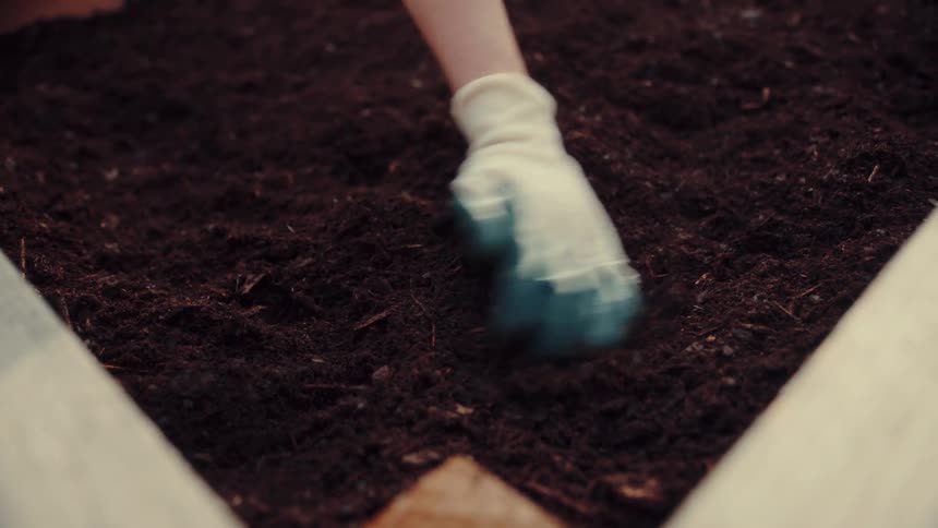 A gloved hand spreads soil in a raised garden bed