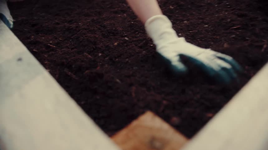 A woman working on a raised bed garden