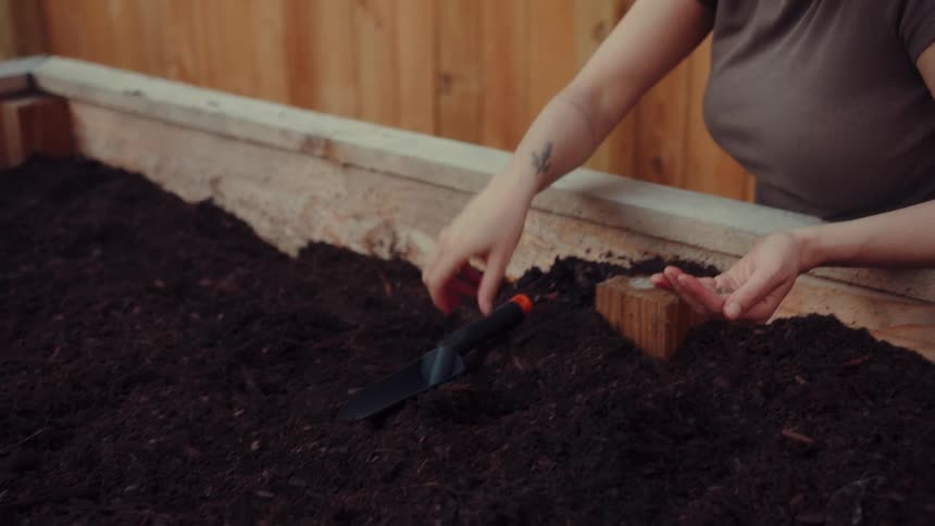 The woman is planting seeds in the garden