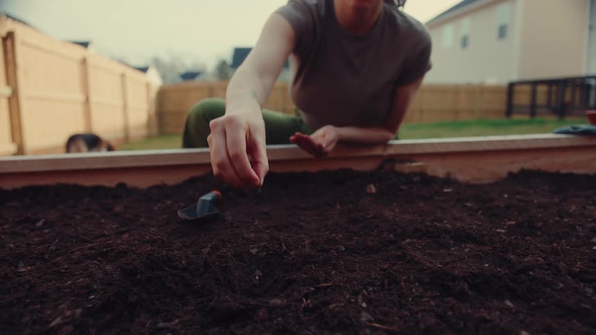 A woman planting seeds in soil in a raised backyard garden bed