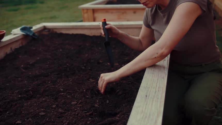A woman working on container gardening