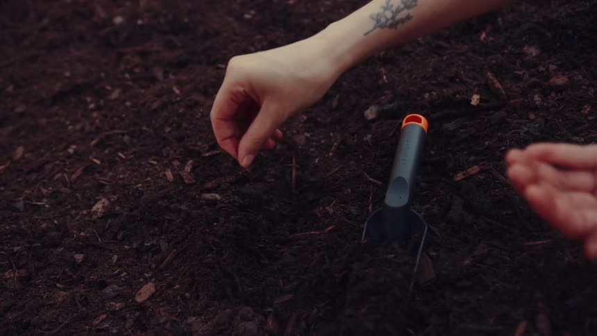 Hand placing seeds in a soil furrow beside a garden trowel