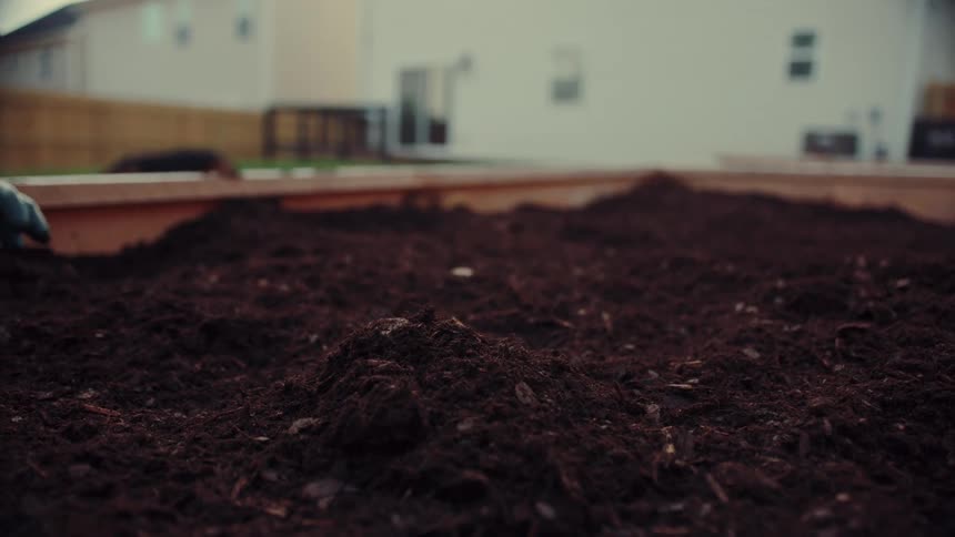 Hands wearing gardening gloves pile dark moist soil into a mound within a wooden raised garden bed