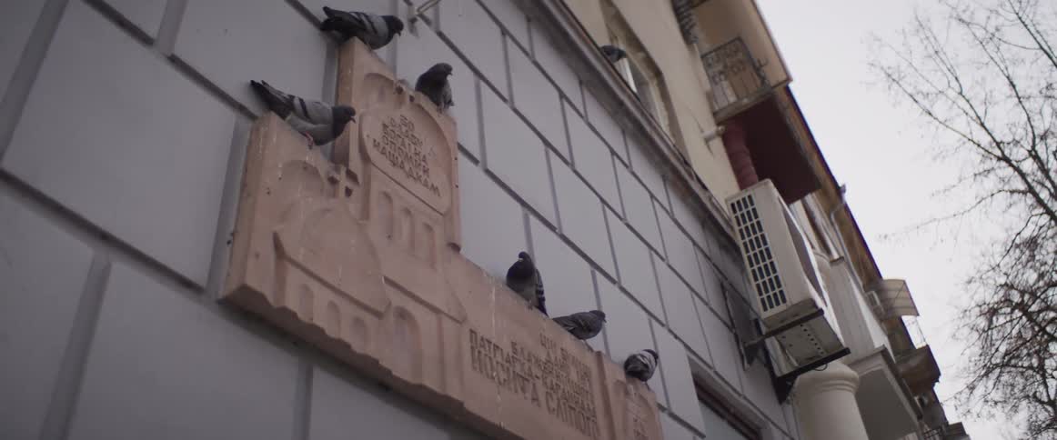 The video shows a group of pigeons resting on a lightcolored stone plaque attached to the side of a buildingan air conditioning unit and a small balcony are visible on the gray exterior wall next to the memorial