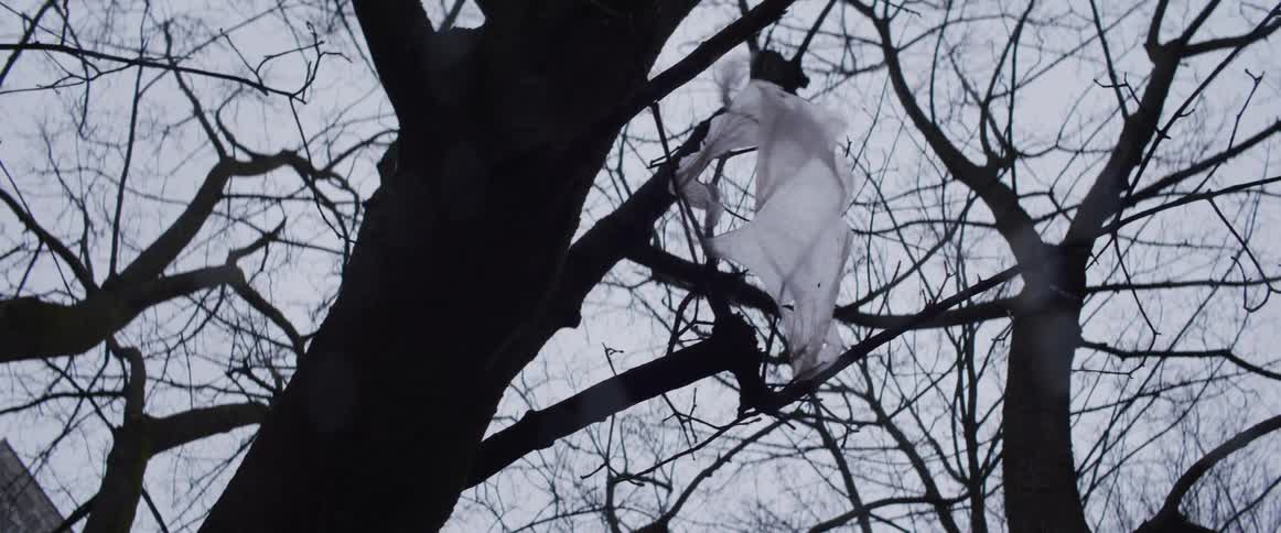 A tattered white plastic bag hangs eerily from the bare branches of a dark tree fluttering against a cold gray sky