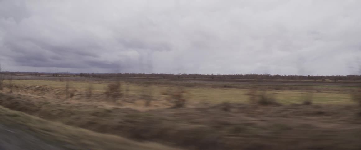 Signs among bare trees and dry vegetation on the rural roadside