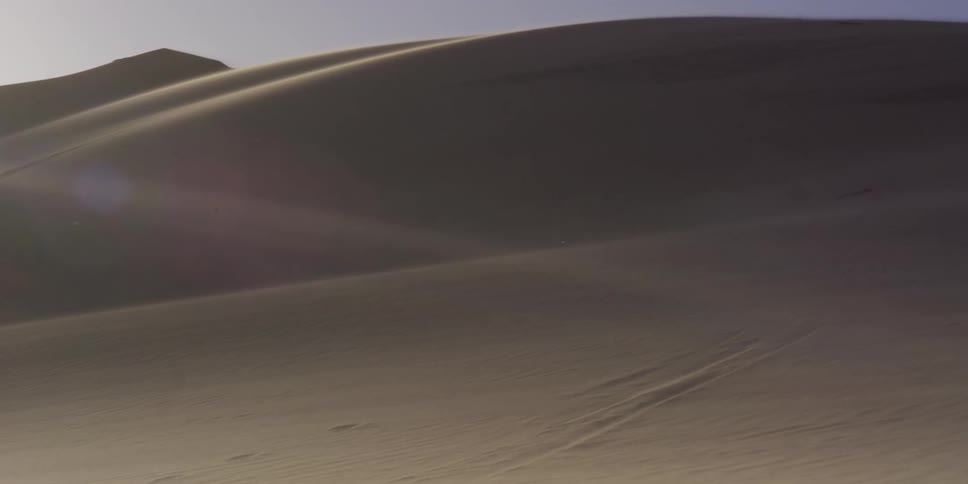 Sand dunes form smooth curves under sunlight