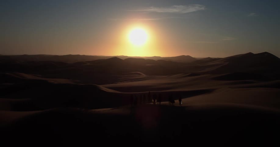 Sunset over sand dunes with camel silhouettes in the desert