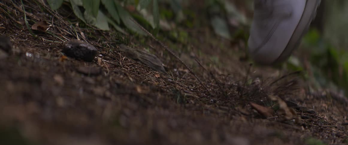 The video shows a closeup lowangle shot of a forest floor covered in pine needles dirt and small twigsa person wearing a white sneaker briefly steps into the frame disturbing the ground before continuing their walk