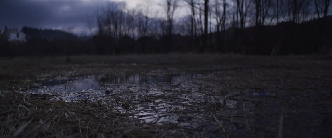 A close view shows a puddle of water in a field of dead grass and twigs with bare trees and a dark cloudy sky in the background at twilight