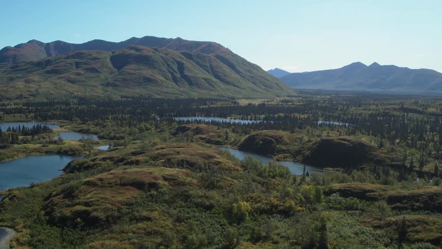 Aerial view of valley with winding rivers forest and mountains in the background