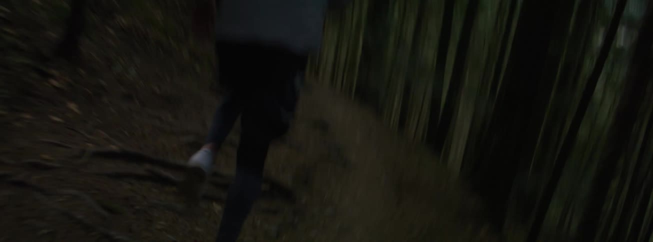 A person running through a forest on a trail