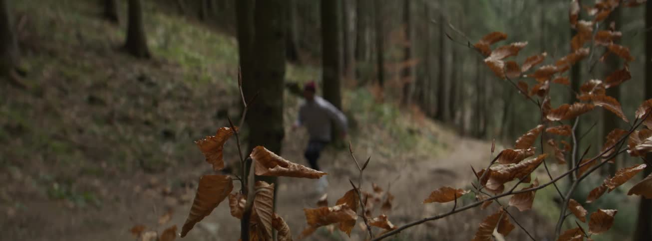 Dry leaves in foreground with person running on forest trail in the background