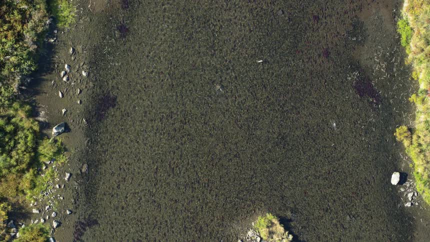An aerial view of a river
