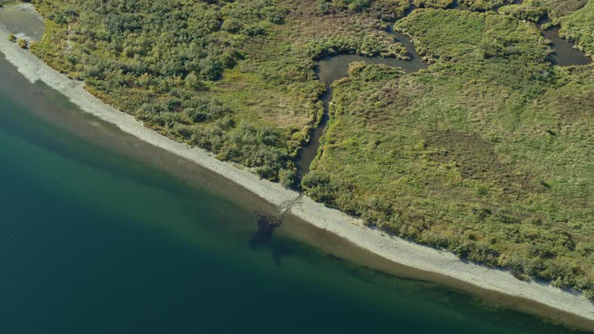 A small stream winds through green wetlands and across a narrow beach flowing into a deep blue body of water and creating a dark sediment plume