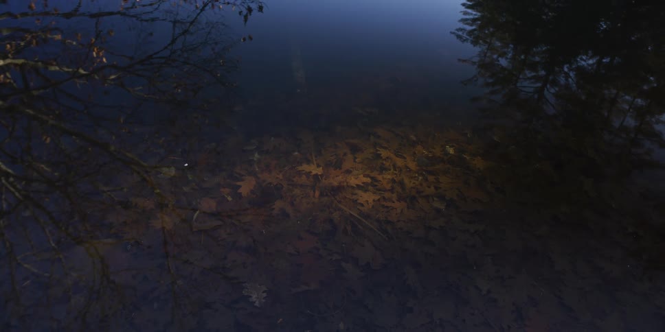 An aerial view of a lake in nature
