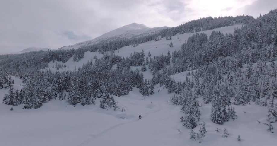 Man holds trekking poles as he hikes through a snow covered forested mountain valley