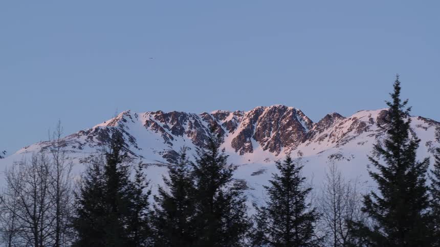 Snowcovered mountain peaks glow with warm light above a line of dark leafless trees beneath a clear blue sky