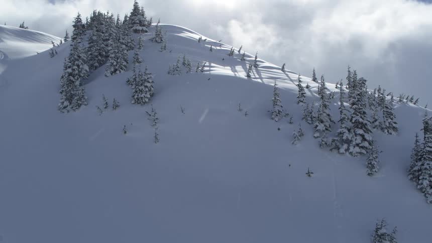 Snow covered evergreen trees dot a steep white mountain slope under a bright sky with heavy clouds in the chugach mountains of alaska