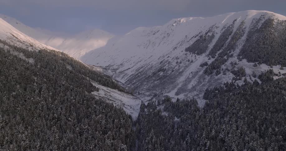 An aerial view of a landscape with mountains and trees