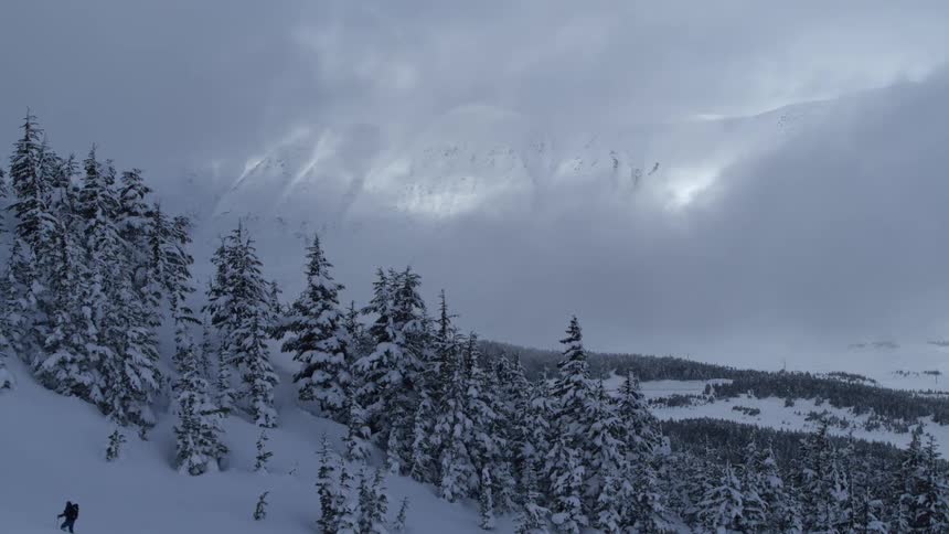 A snowy mountain scene with evergreen trees under a cloudy sky at midday