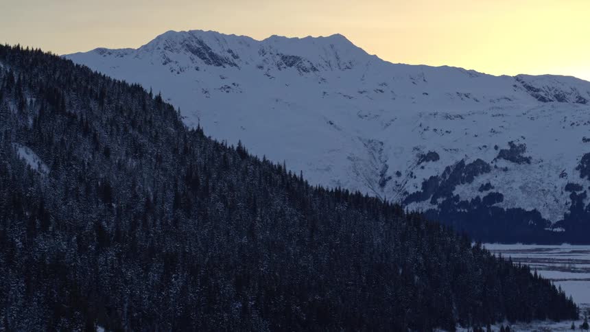 A wide aerial view shows a dense forest of dark evergreen trees covering a steep slope in the foreground while massive snow capped mountain peaks stand under a pale yellow twilight sky above a flat valley