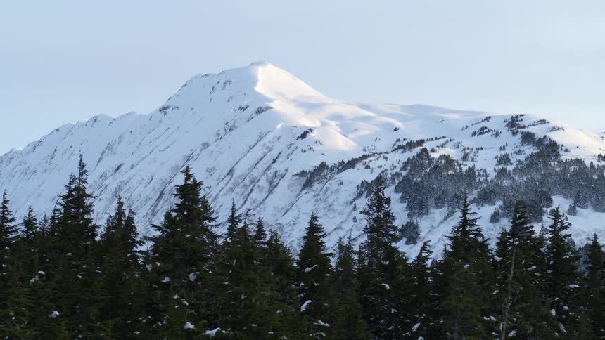 The video shows a snowcovered mountain peak rising above a dense forest of evergreen treessoft early morning or late afternoon sunlight highlights the textures of the snow and the silhouettes of the pine trees