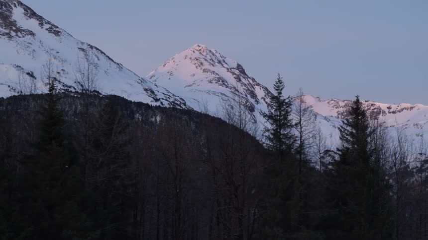 Trees at the edge of a mountain with snow covered mountains in the distance