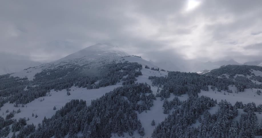 Snowcovered mountains and pine forests under a cloudy sky on a winter day