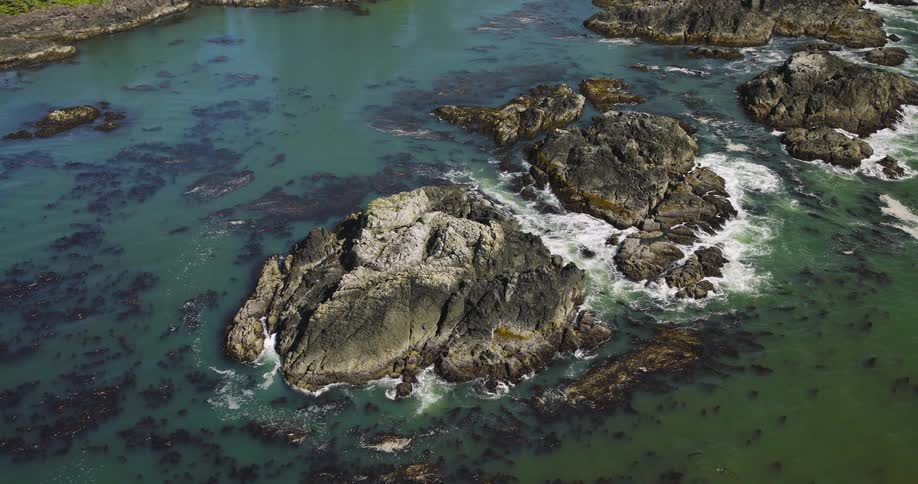 A static high-angle view of a rocky island surrounded by kelp-filled ocean water as gentle waves crash against the shore